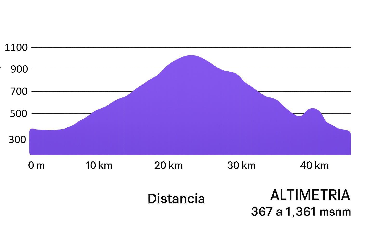Gráfica de Altimetría